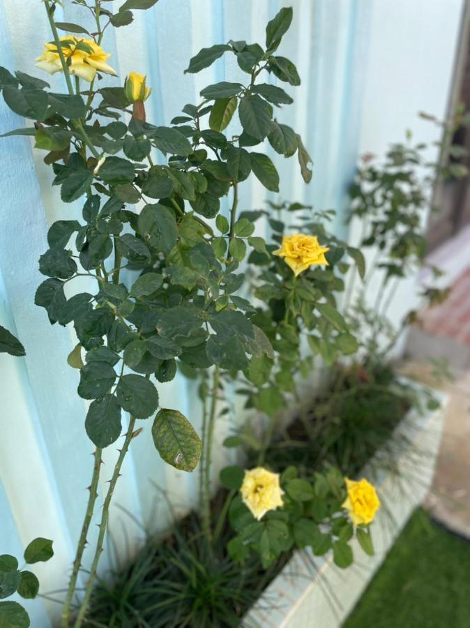 An Bungalow - Mai Châu Villa Hoa Binh Ngoại thất bức ảnh